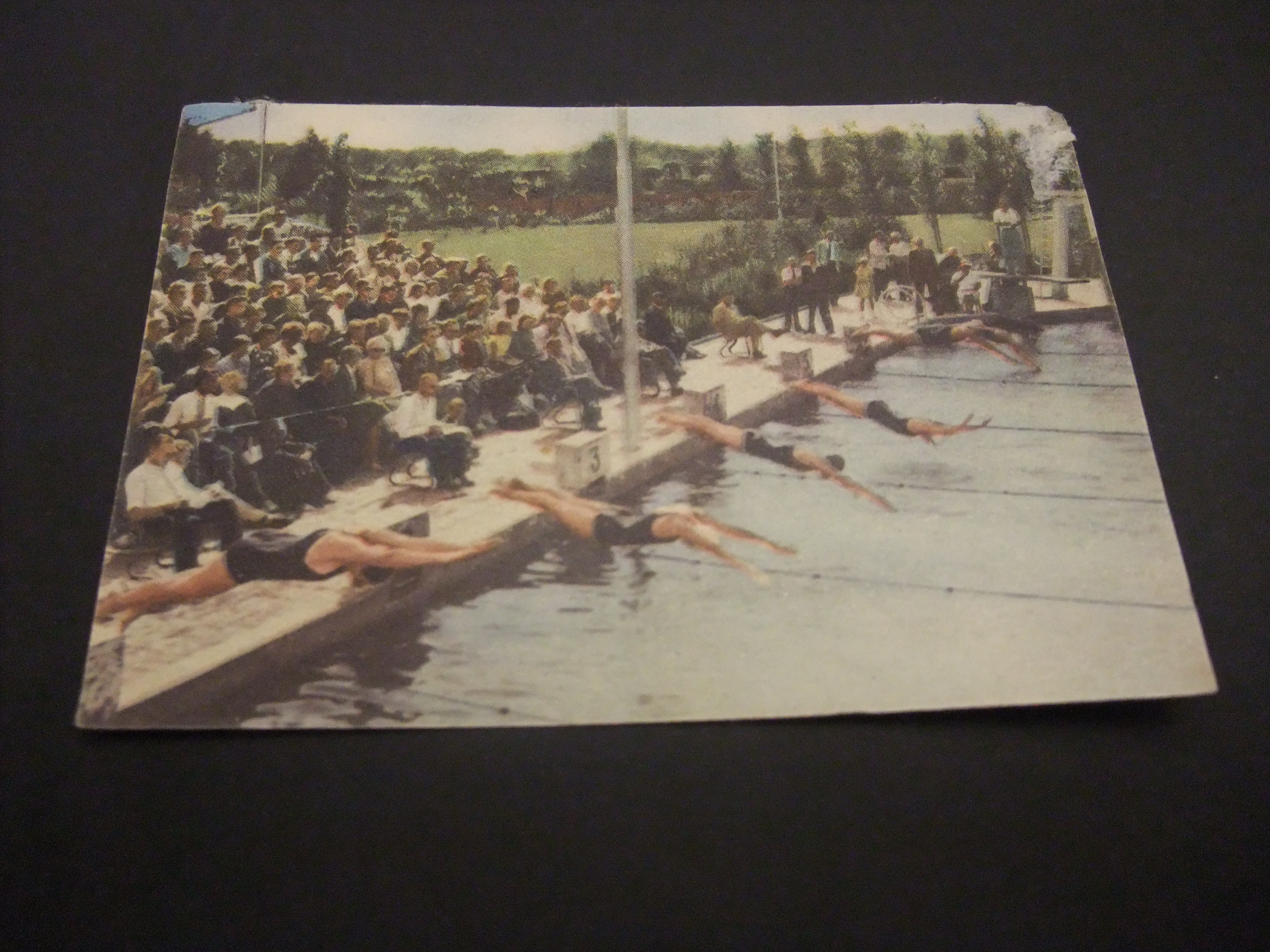 Nederlands Kampioenschap zwemmen voor dames 1953 Nijmegen